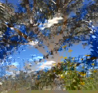 Euroa Arboretum - Accommodation Directory