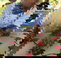 Euraba Paper Aboriginal Corporation - Accommodation Directory