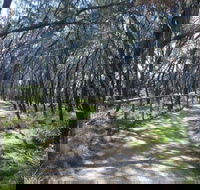 Federation Walk - Accommodation Directory
