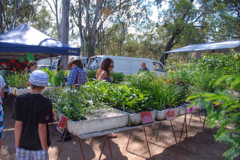 Fernvale Country Markets - Accommodation Directory 0