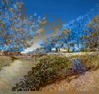 Freshwater Creek Track Byfield National Park - Accommodation Directory