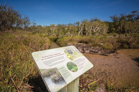 Freshwater Creek Track, Byfield National Park - Accommodation Directory 1