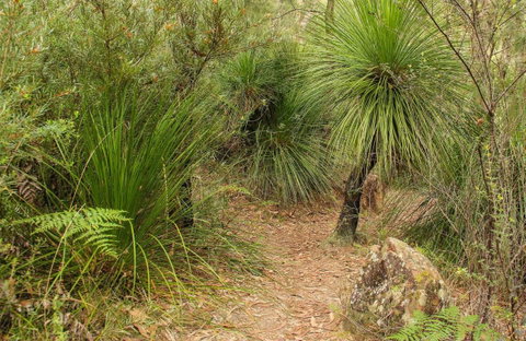 Grass Tree Circuit - Accommodation Directory 0