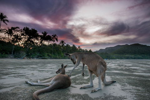 How To Holiday On The Hibiscus Coast With Your Family - Accommodation Directory 0