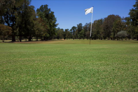 Howlong Golf Resort - Accommodation Directory 2