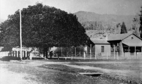 Jamieson Museum - Accommodation Directory 0