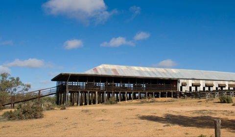 Kinchega Woolshed - Accommodation Directory 0