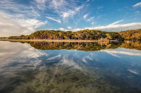 Lashmar Conservation Park - Accommodation Directory 0
