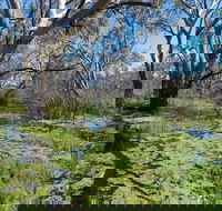 Macquarie Valley Trails - Accommodation Directory