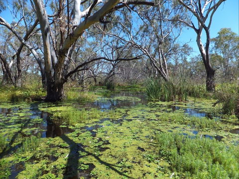 Macquarie Valley Trails - Accommodation Directory 0