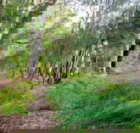 Meroo Lake walking track - Accommodation Directory