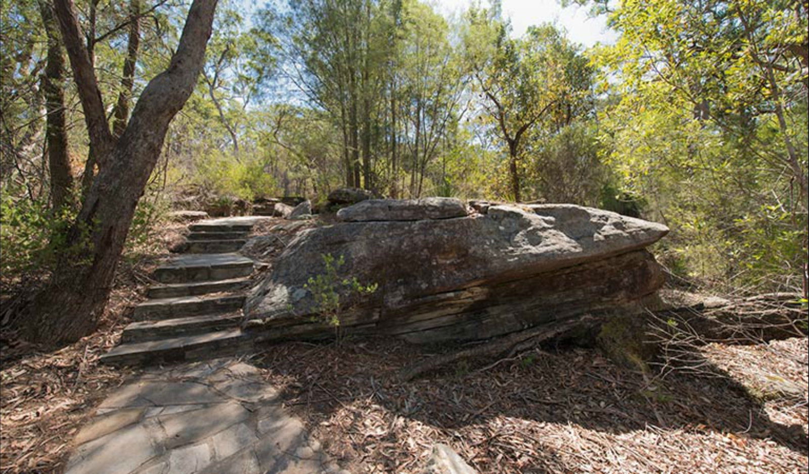 Central Mangrove NSW Accommodation Directory
