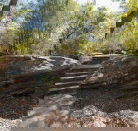 Mooney Mooney nature walk - Accommodation Directory