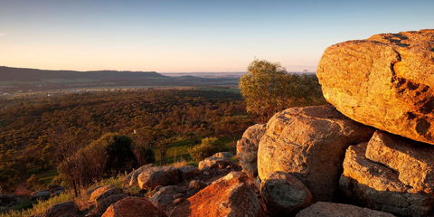 Mount Brown Lookout - Accommodation Directory 0