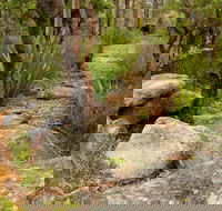 Mount Olive Trail - Accommodation Directory