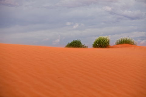 Munga-Thirri - Simpson Desert Conservation Park And Regional Reserve - Accommodation Directory 0
