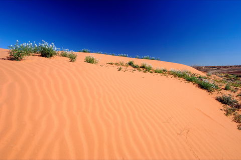Munga-Thirri - Simpson Desert Conservation Park And Regional Reserve - Accommodation Directory 1