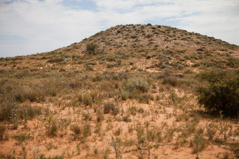 Munga-Thirri - Simpson Desert Conservation Park And Regional Reserve - Accommodation Directory 2