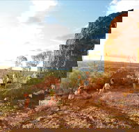Natural Sciences Loop - Accommodation Directory