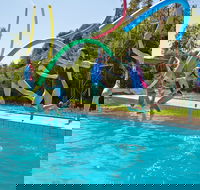 Oaklands War Memorial Swimming Pool - Accommodation Directory