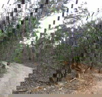 Paddys Ranges State Park - Accommodation Directory