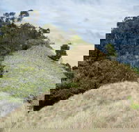 Pieries Peak Walking Track - Accommodation Directory