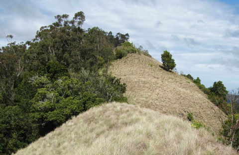 Pieries Peak Walking Track - Accommodation Directory 0