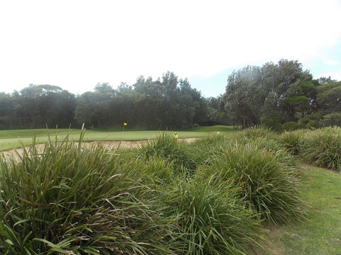 Shoalhaven Heads Golf Club - Accommodation Directory 0