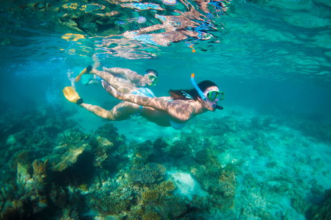 Snorkel The Ningaloo Reef - Accommodation Directory 1