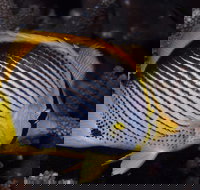 Spiders Ledge - Accommodation Directory