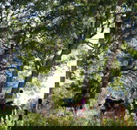 The Outlook Riding Academy - Accommodation Directory