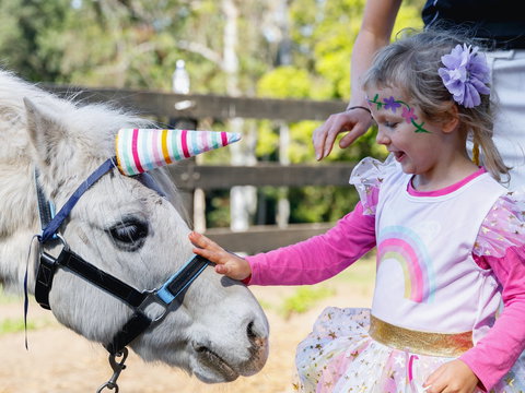 The Outlook Riding Academy - Accommodation Directory 1