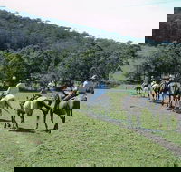 Timbertops - Horse Riding - Accommodation Directory