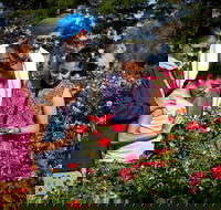 Victoria State Rose Garden at Werribee Park - Accommodation Directory