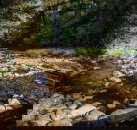 Wilson River picnic area - Accommodation Directory