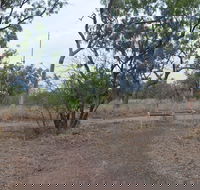 Alexander Forest Memorial - Accommodation Directory