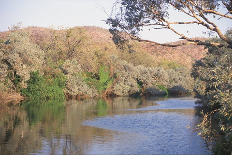 Alligator / Crocodile Hole - Accommodation Directory 0