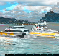 Apex Camps Magnetic Island Group Accommodation Activities and Events - Accommodation Directory