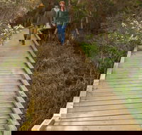 Balcombe Creek Estuary Boardwalk - Accommodation Directory