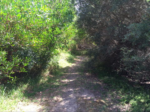 Bluff Track Fitness Trail - Accommodation Directory 2