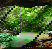 Buderim - Accommodation Directory