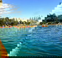 Byron Bay River Nature Kayak Tour - Accommodation Directory