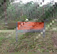 Carter's Mill Picnic and Camping Area - Accommodation Directory