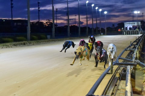 Cranbourne Greyhound Racing Club - Accommodation Directory 1