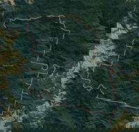 Dingo Forest - Accommodation Directory