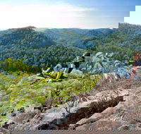 Dubbo Gully Loop Trail - Accommodation Directory