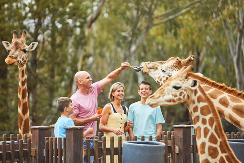 Dubbo - Accommodation Directory 0