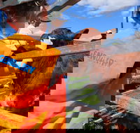 Farm Visit  Dungog - Accommodation Directory