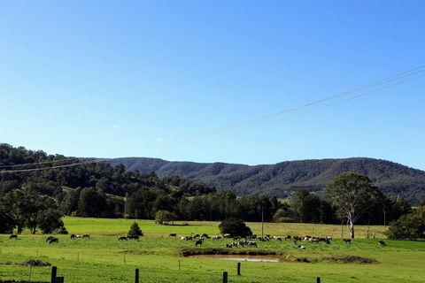 Farm Visit  Dungog - Accommodation Directory 1