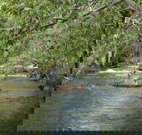 Florence Creek walk - Accommodation Directory